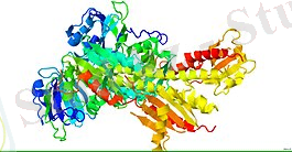 3G6O.pdb.jpg