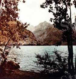 http://www.icwc-aral.uz/i/bwos/charvak.jpg