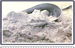 image006.gif
