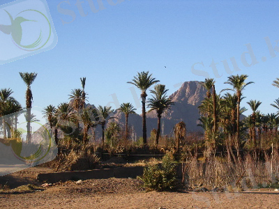Hoggar8.jpg