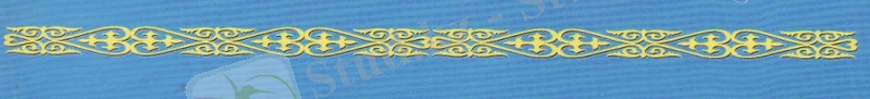 IMG.jpg