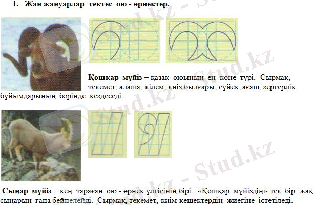 Новый-рисунок-3.jpg