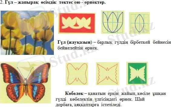 Новый-рисунок-5.jpg