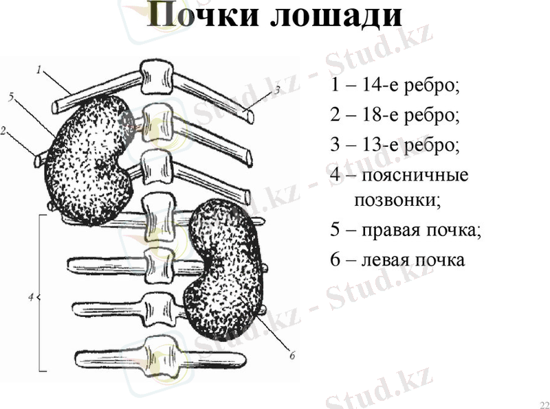 slide-21.jpg