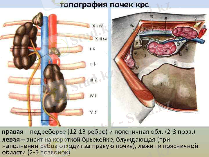 image-33.jpg