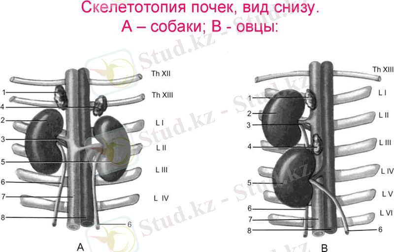 slide-12.jpg