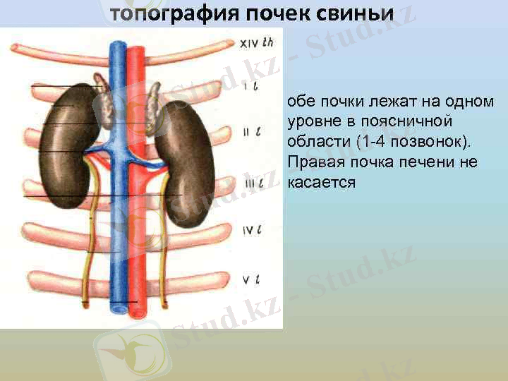 image-35.jpg