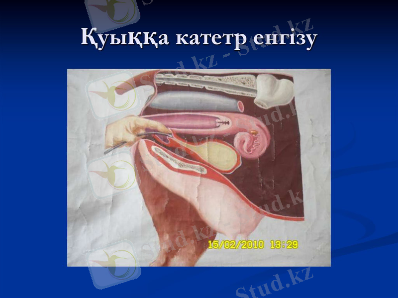 slide-17.jpg