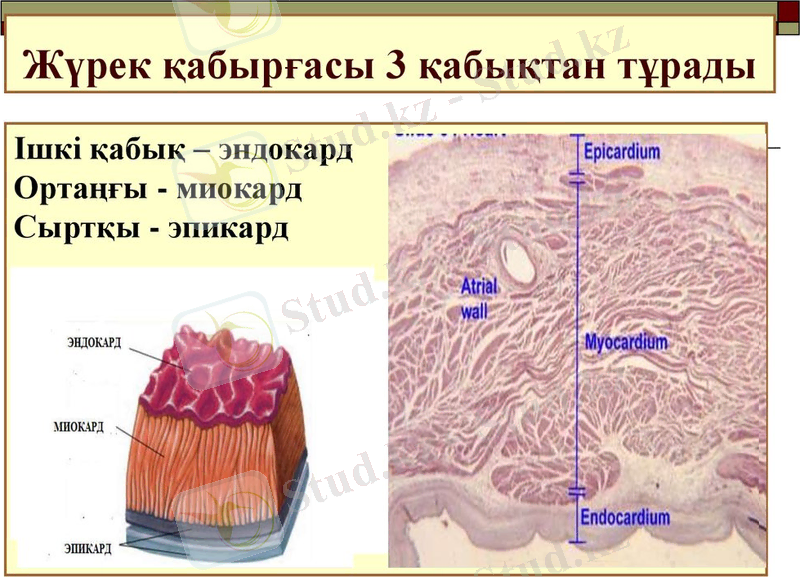 slide-4.jpg