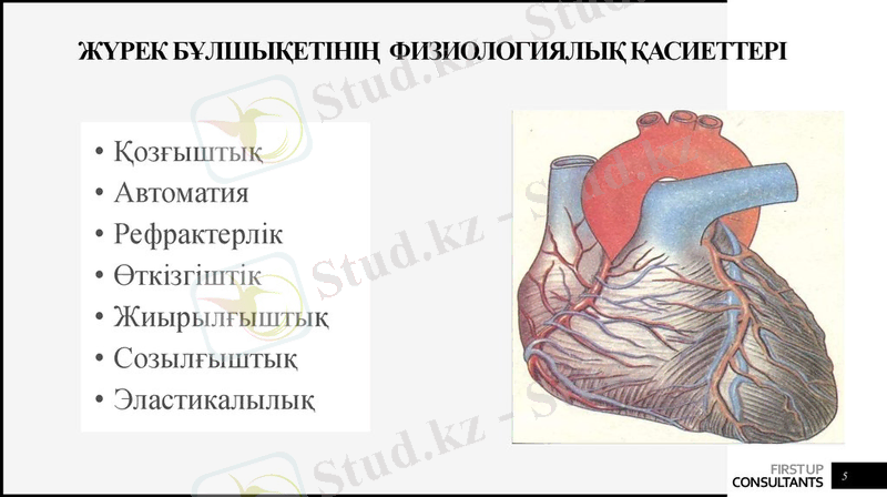 slide-4 (1).jpg