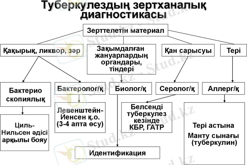 slide-17.jpg