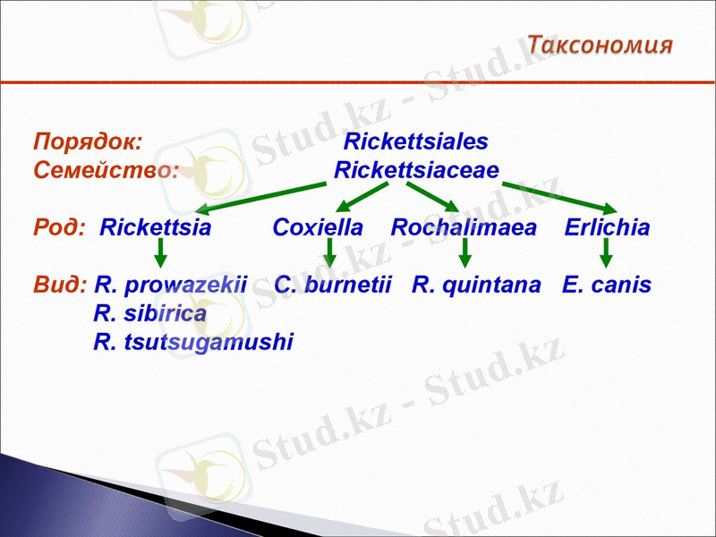 slide-3.jpg