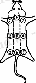 image011.gif