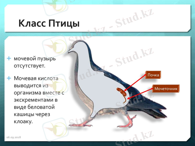 slide-28.jpg