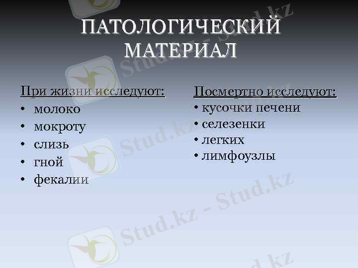 image-22.jpg