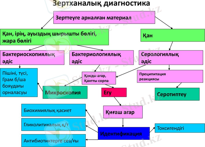 slide-43.jpg
