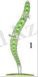 https://itest.kz/upload/images/1349861678.38.jpeg.png