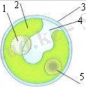 https://itest.kz/upload/images/1349862020.25.jpeg.png