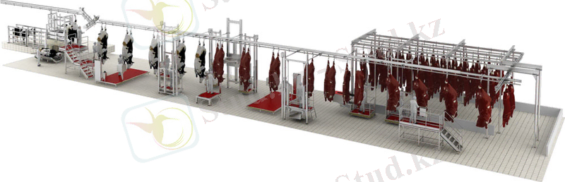 https://feleti-meat.ru/wp-content/uploads/2019/09/Liniya-uboya-KRS-e1567603691290.jpg