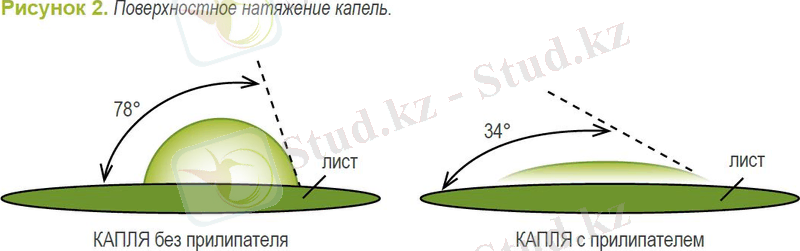 https://www.syngenta.kz/sites/g/files/zhg391/f/opryskivanie3.jpg