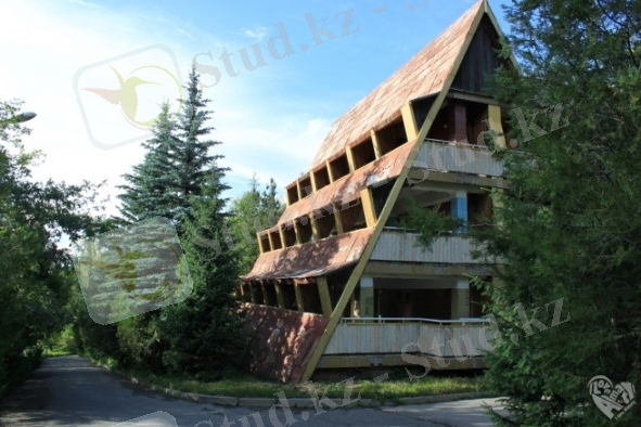 http://www.ilovealmaty.kz/upload/blogs/eecc0c3e6dcf0fafd33c2aa5dcc94b19.jpg