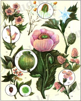 1640-2.jpg
