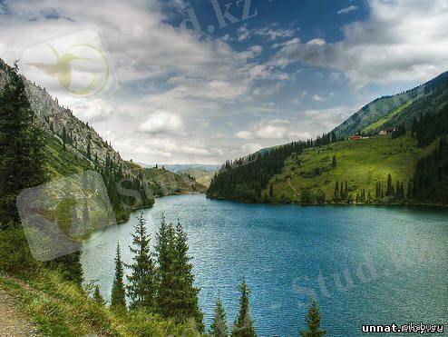 http://cs5.pikabu.ru/post_img/2014/11/12/6/1415784910_1341820011.jpg