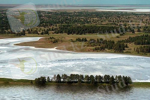 http://s010.radikal.ru/i312/1511/56/99f5ed1ebad5.jpg