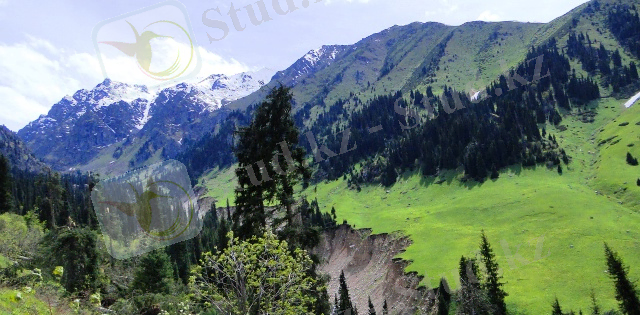 http://silkadv.com/sites/default/files/Kazahstan/Zapovedniki_parki/Almatinskii_zapovednik/0_2_Gory_Zail_Alatau.JPG
