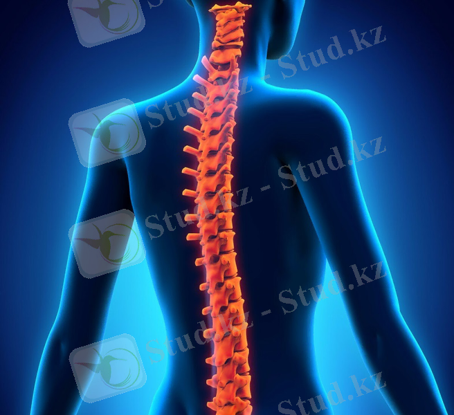 https://avatars.mds.yandex.net/get-zen_doc/1108934/pub_5d774e68118d7f00adb12682_5d774f785ba2b500ad950f66/scale_1200