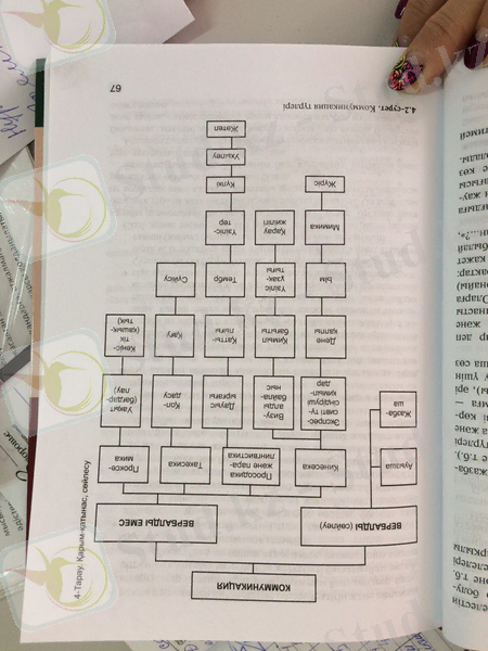 https://pp.vk.me/c638424/v638424742/184c4/YZk_IbBpVic.jpg
