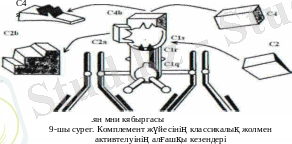 https://studydocs.ru/studfiles/882/916/1106765/'komplement_zh_1199_yesinin_immundyk_zhauaptagy_manyzy.doc'_html_b4e57df6f196f4d.gif