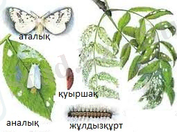 Безымянный.png