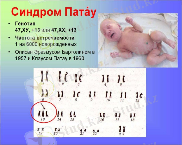 C:\Users\Админ\Desktop\патау2.jpg