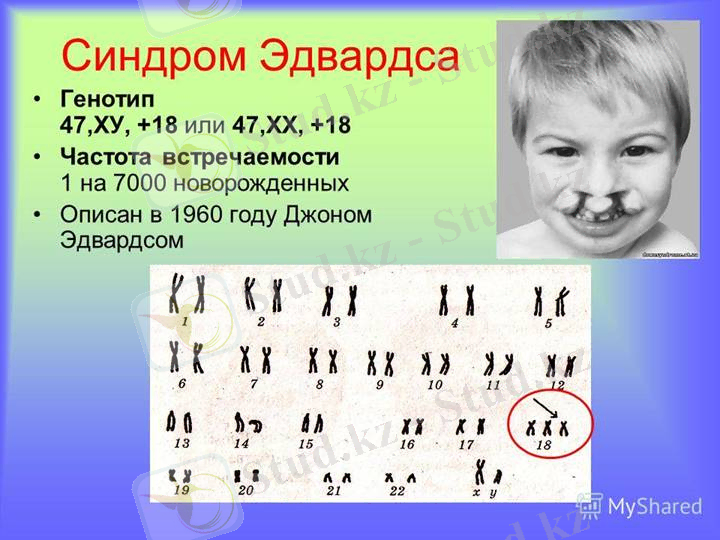 C:\Users\Админ\Desktop\Sэдвардс.jpg