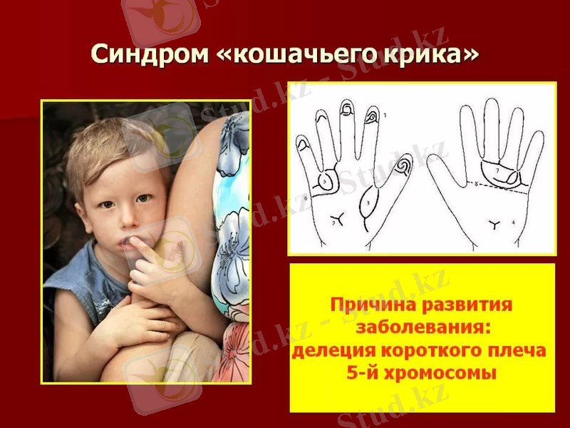 C:\Users\Админ\Desktop\5хром 23.jpg