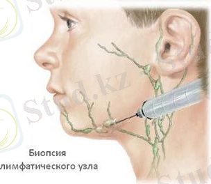 D:\Desktop\сс\58e289fa2bbf6.jpg