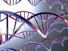 C:\Users\Akzhan\Desktop\dna.jpg