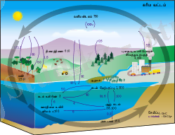 C:\Users\Akzhan\Desktop\250px-Carbon_cycle-cute_diagram_ta.svg.png