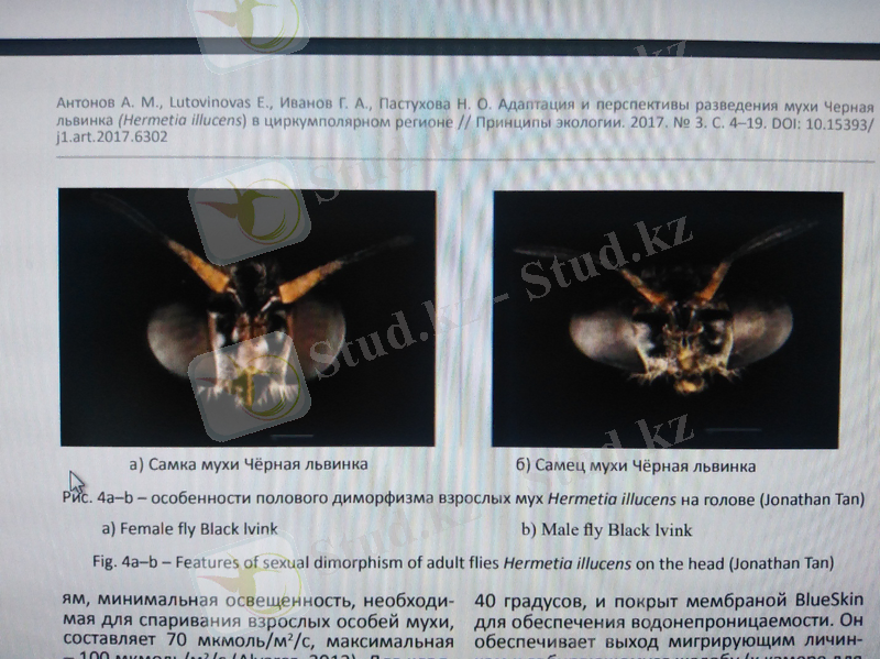 C:\Users\user\Downloads\IMG_20210610_133446.jpg