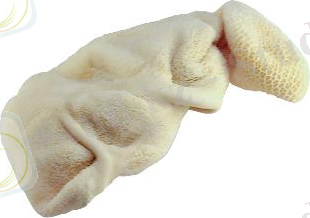 https://agro-russia.com/imgs/board/42/196842-1.jpg