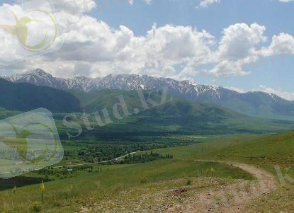 https://www.archive.inform.kz/fotoarticles/20171024175358.jpg