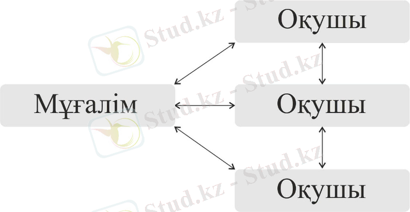 C:\Users\User\Desktop\003.jpg