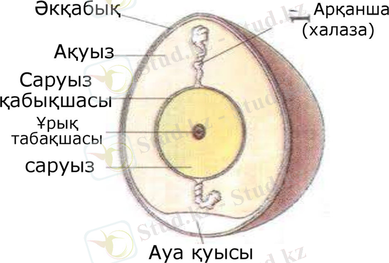 C:\Users\User\Desktop\slide-2.jpg