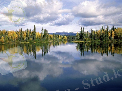 http://oboi.kards.qip.ru/images/wallpaper/08/c9/51464_prev_425.jpg