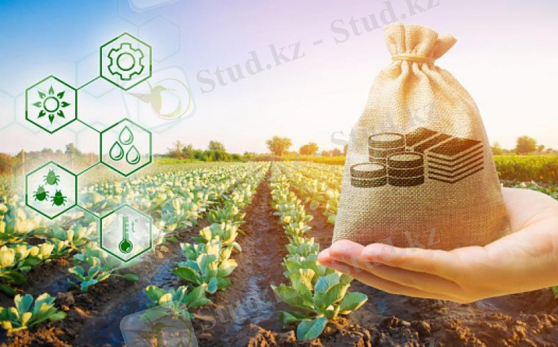 https://amfok.kz/img/novosti/poluchit-mikrokredity-na-proekty-v-sfere-apk-smogut-zhiteli-sel-i-maly/6258eda7d0b88364609755.jpeg