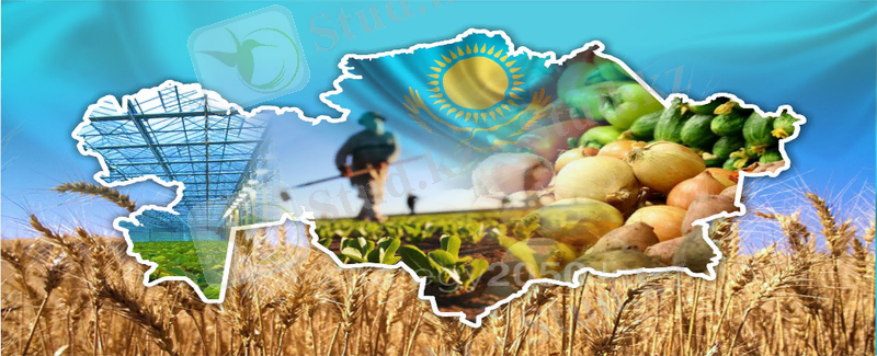 https://syrboyi.kz/wp-content/uploads/2020/10/f4ebf553fcf1f30398b8e072b8f4e09c.png