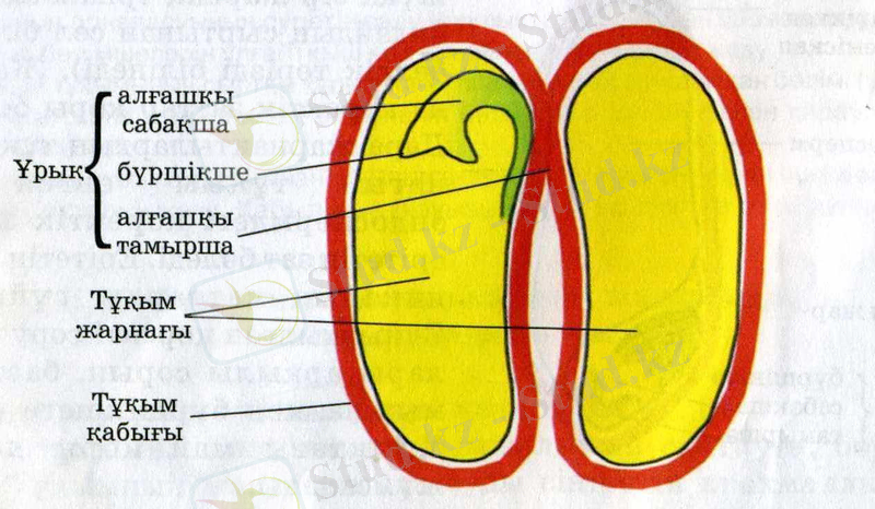 https://itest.kz/uploads/images/99710718_1.jpeg