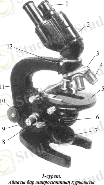 01_Microskop.tif