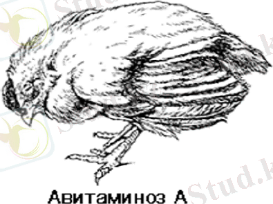 а.png